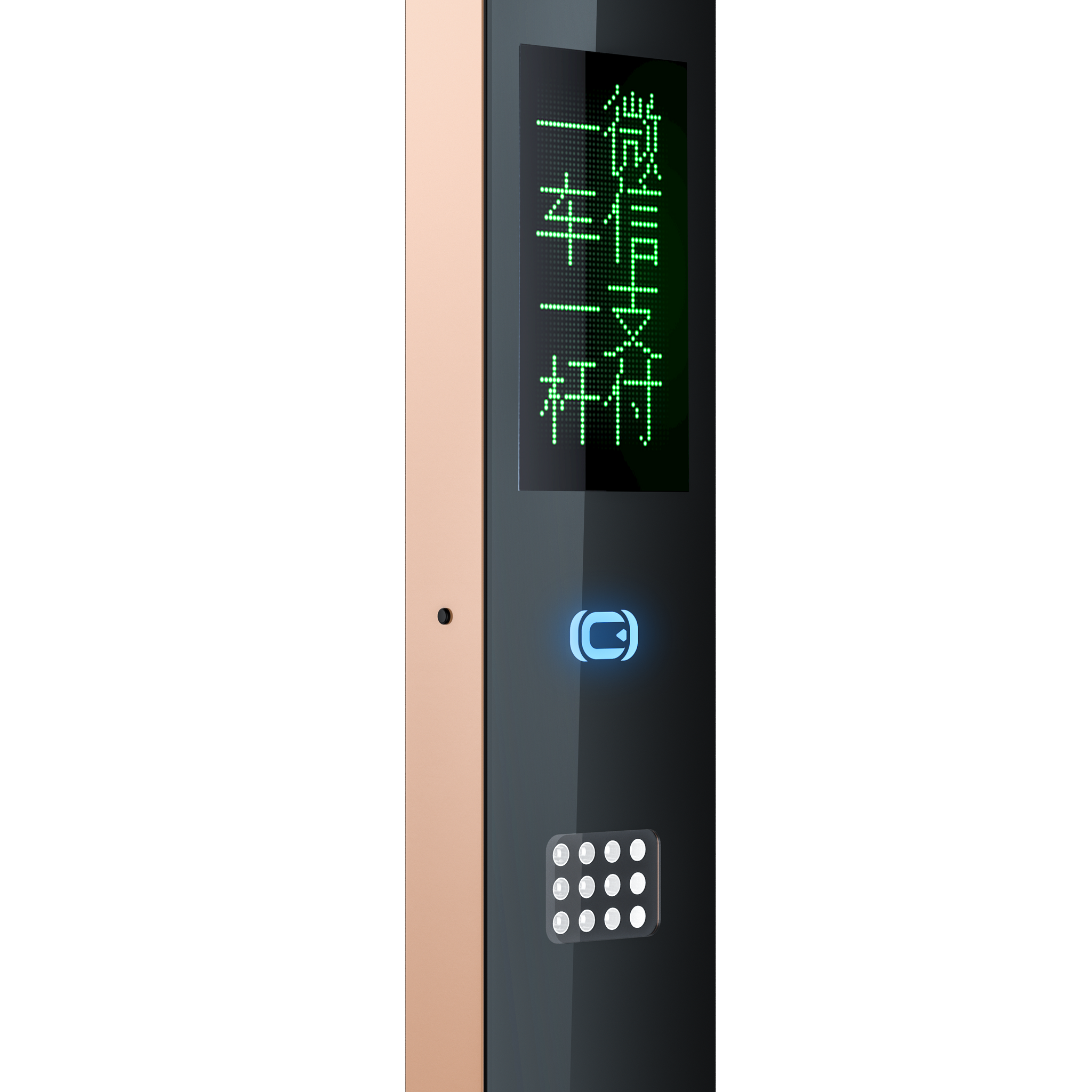 X-Guards All-in-One CarPark Camera ZDG20T